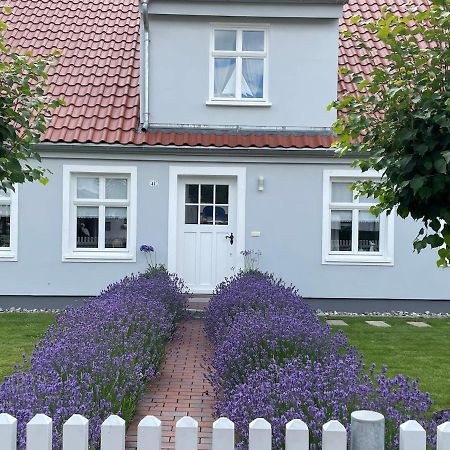 Appartement Haus Vicus à Greifswald Extérieur photo