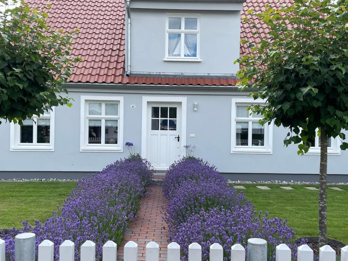 Appartement Haus Vicus à Greifswald Extérieur photo